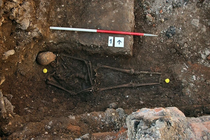 Археологи обнаружили древнейшую жертву убийства