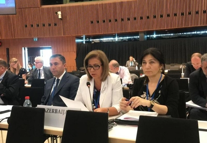 На заседании ПА ОБСЕ принята поправка, предложенная азербайджанской делегацией – ФОТО