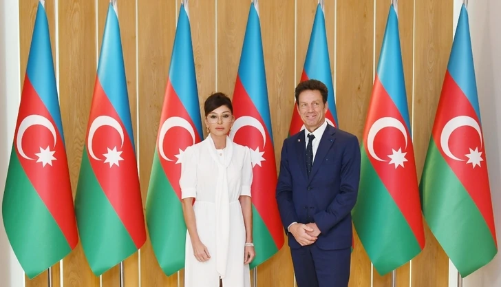 Мехрибан Алиева встретилась с президентом Бизнес-совета MEDEF - ФОТО/ОБНОВЛЕНО