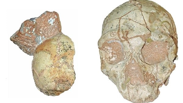 В Греции найдены древнейшие за пределами Африки человеческие останки