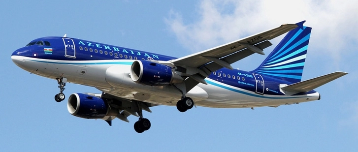 Самолет «Азербайджанских авиалиний» столкнулся с птицей