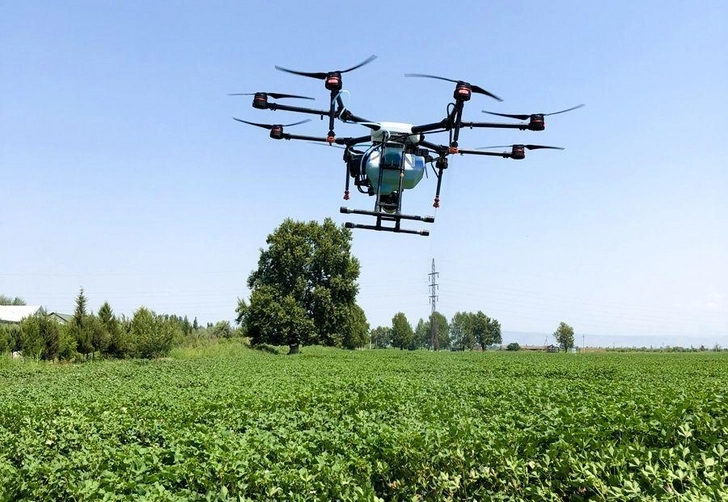 В Азербайджане впервые дрон применили для опыления химикатами хлопчатника - ФОТО