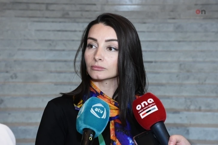 Лейла Абдуллаева: Австралия однозначно поддерживает территориальную целостность Азербайджана