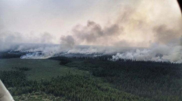 Дым от пожаров Сибири дошел до США и Канады