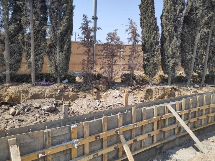 МЭПР составил протокол в отношении «Азерсу» из-за высохших в Баку деревьев