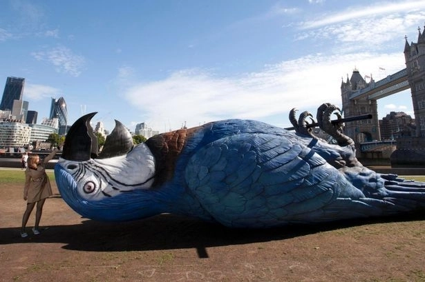 В Новой Зеландии нашли останки крупнейшего в мире попугая