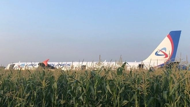 Airbus «Уральских авиалиний» экстренно сел с загоревшимся двигателем в Подмосковье на кукурузном поле - ВИДЕО