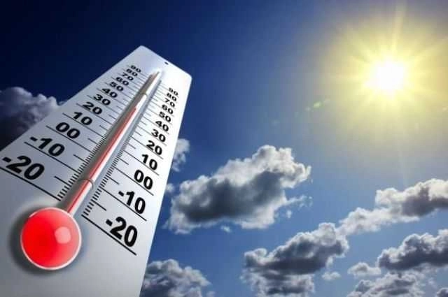 Июль 2019 года стал самым теплым месяцем в истории метеонаблюдений