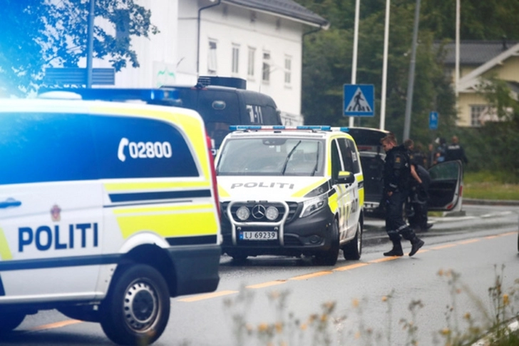 Установлены мотивы устроившего стрельбу в норвежской мечети
