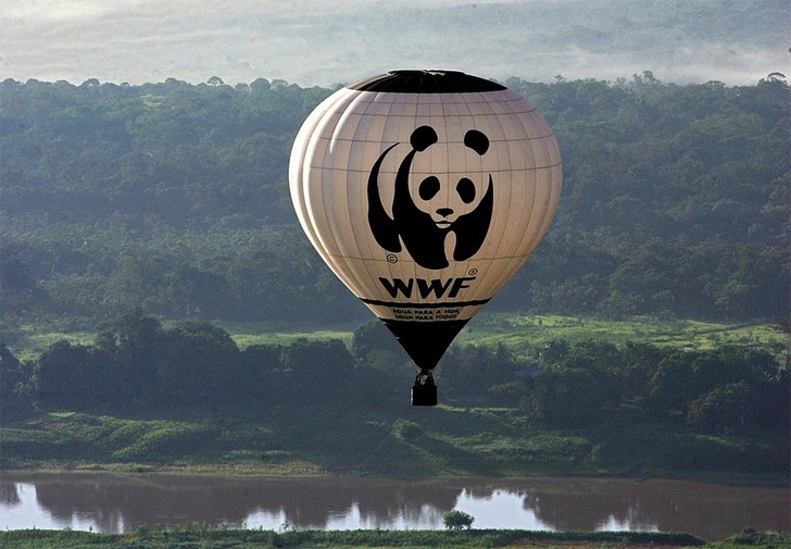 Greenpeace и WWF бойкотируют саммит G7