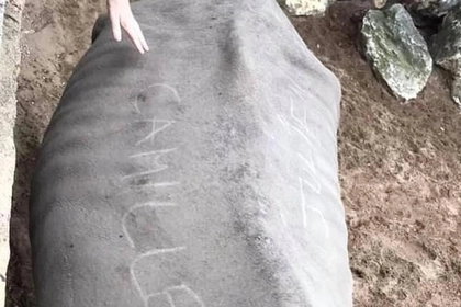 Посетительницы зоопарка выцарапали свои имена на шкуре доверчивого носорога