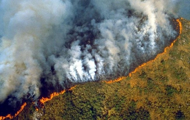 «Наше будущее горит». Роналду, Дибала, Хэмилтон и другие просят спасти леса Амазонии - ФОТО