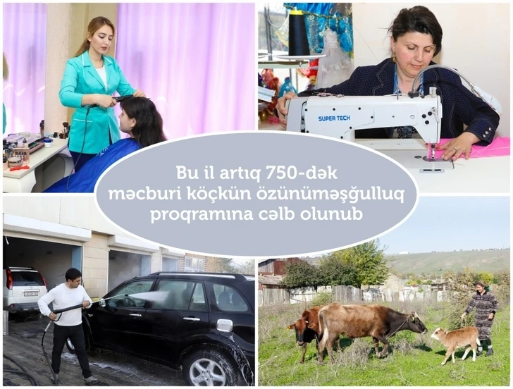 В Азербайджане 750 вынужденных переселенцев были вовлечены в программу самозанятости