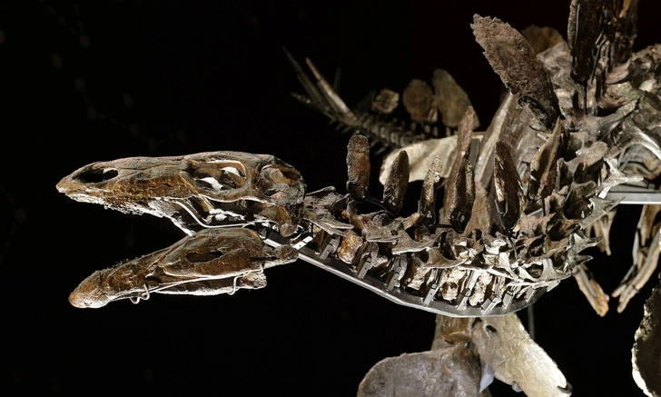 Обнаружены останки самого старого динозавра