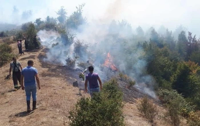 Пожар в Гирканском национальном парке полностью потушен - ВИДЕО