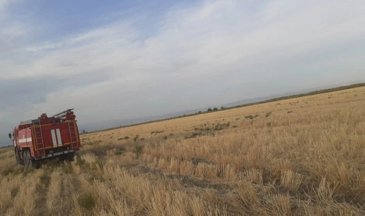 В Кюрдамире сгорело пшеничное поле - ФОТО/ВИДЕО