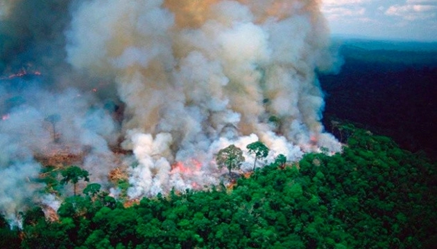 Как выглядят амазонские леса после пожаров - ВИДЕО