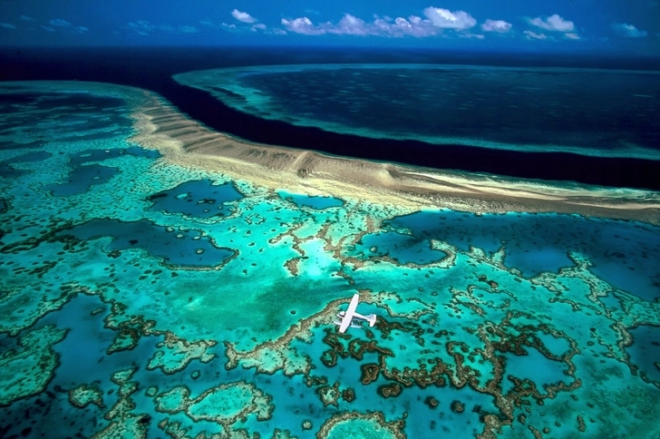 Ученые заявили об ухудшении состояния Большого Барьерного рифа