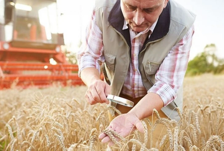 Азербайджанских фермеров могут лишить субсидий на два года из-за неверных данных