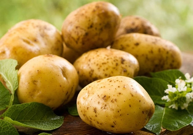 Стало известно, в какие страны Азербайджан экспортировал картофель в прошлом году