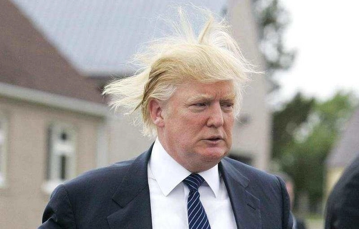 Трамп ответил критикам своих волос