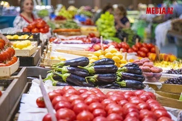 Шахин Мустафаев: Азербайджан может удвоить экспорт фруктов и овощей в Россию