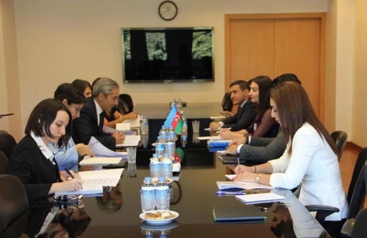 Состоялись консультации между пресс-секретариатами МИД Азербайджана и Турции
