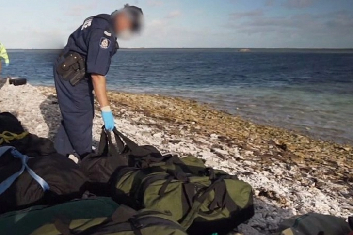 Тюлень помог полицейским задержать контрабандистов с тонной наркотиков