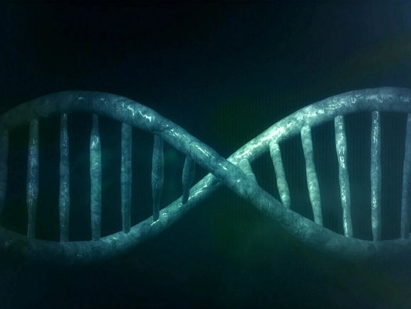 Древнейшая в мире ДНК обнаружена в Грузии