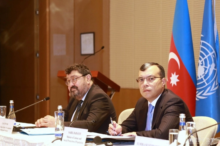 Министр назвал причину роста числа мигрантов в Азербайджане
