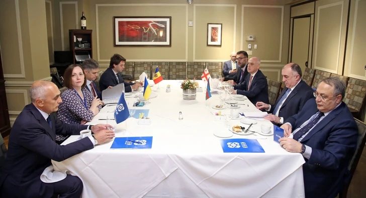 Эльмар Мамедъяров принял участие во встрече министров иностранных дел ГУАМ – ФОТО
