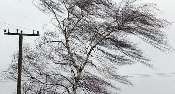 Сильный ветер вызвал негативные последствия в Гейчае – ВИДЕО