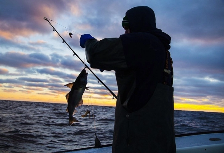 В этом году за незаконную рыбалку привлечены к ответственности 182 человека