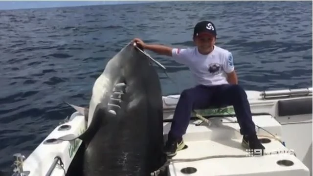 Восьмилетний мальчик поймал гигантскую акулу в Австралии - ФОТО/ВИДЕО