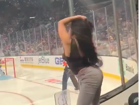 Танец девушки во время хоккейного матча разозлил болельщиков - ВИДЕО
