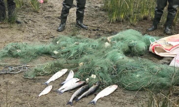 Прибрежная полоса Каспия очищена от запрещенных орудий рыболовства - ФОТО