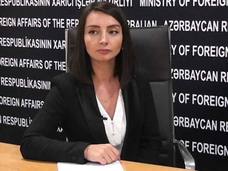 Лейла Абдуллаева: В Азербайджане полностью обеспечиваются фундаментальные права и свободы человека