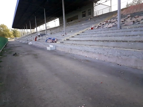 На городском стадионе и в Академии футбола Товуза продолжаются ремонтно-строительные работы – ФОТО