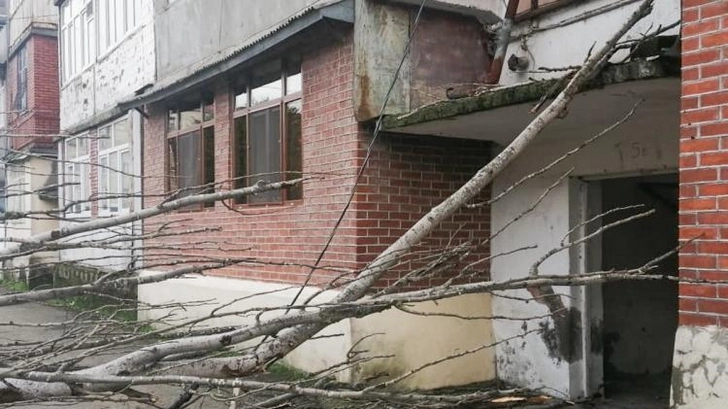 В Лянкяране из-за сильного ветра обесточены жилые здания - ФОТО