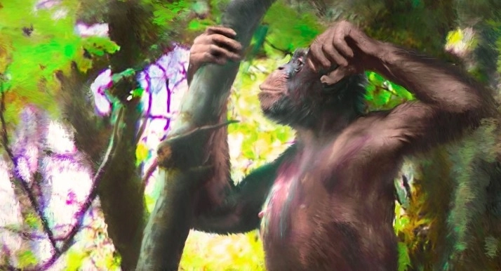 Ученые обнаружили новый древний вид человекообразных обезьян - ФОТО