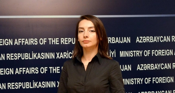 МИД Азербайджана: Заявление Мнацаканяна лишено здравого смысла
