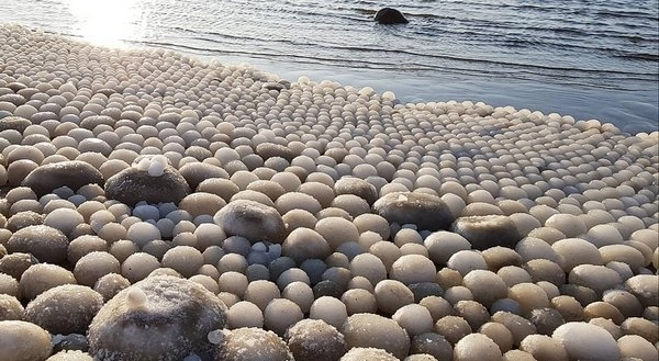 Финский пляж засыпало тысячами ледяных «яиц» - ФОТО