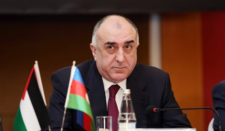 Эльмар Мамедъяров: Азербайджан считает ОЭС одной из важных платформ регионального сотрудничества