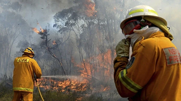 В Австралии природные пожары охватили миллион гектаров. Объявлен «катастрофический уровень опасности» - ВИДЕО