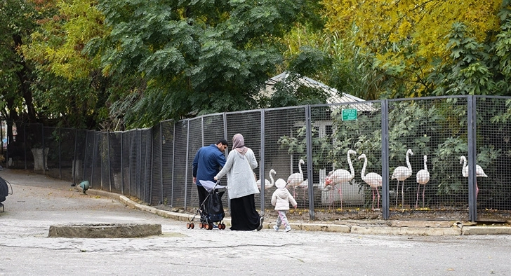 Бакинский зоопарк готовит сюрприз