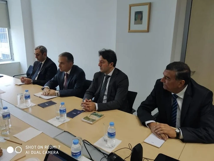 Руководство азербайджанской общины Нагорно-Карабахского региона проводит встречи в Турции – ФОТО