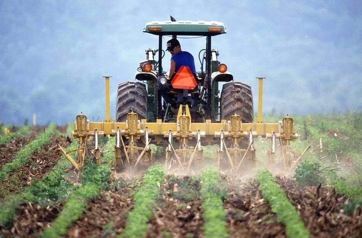 Увеличилась продуктивность аграрного сектора Азербайджана