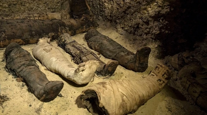 Обширное захоронение мумий животных, птиц и артефактов найдено в Египте