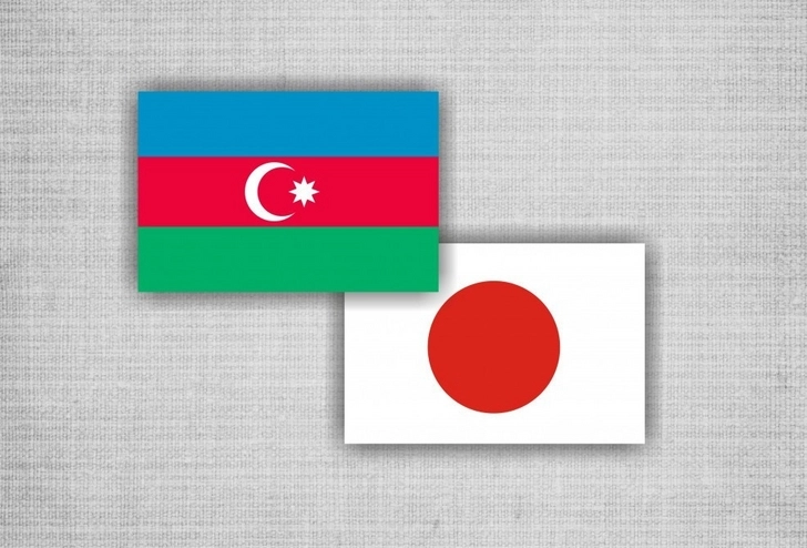 МИД Азербайджана и Японии провели политические консультации - ФОТО
