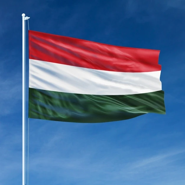 МИД Венгрии: Азербайджан стратегический партнер «Вышеградской группы»